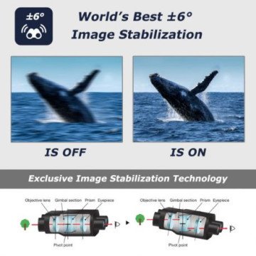 Fujinon TS-X 14x40 kaufen | Photo Porst - Bild 3